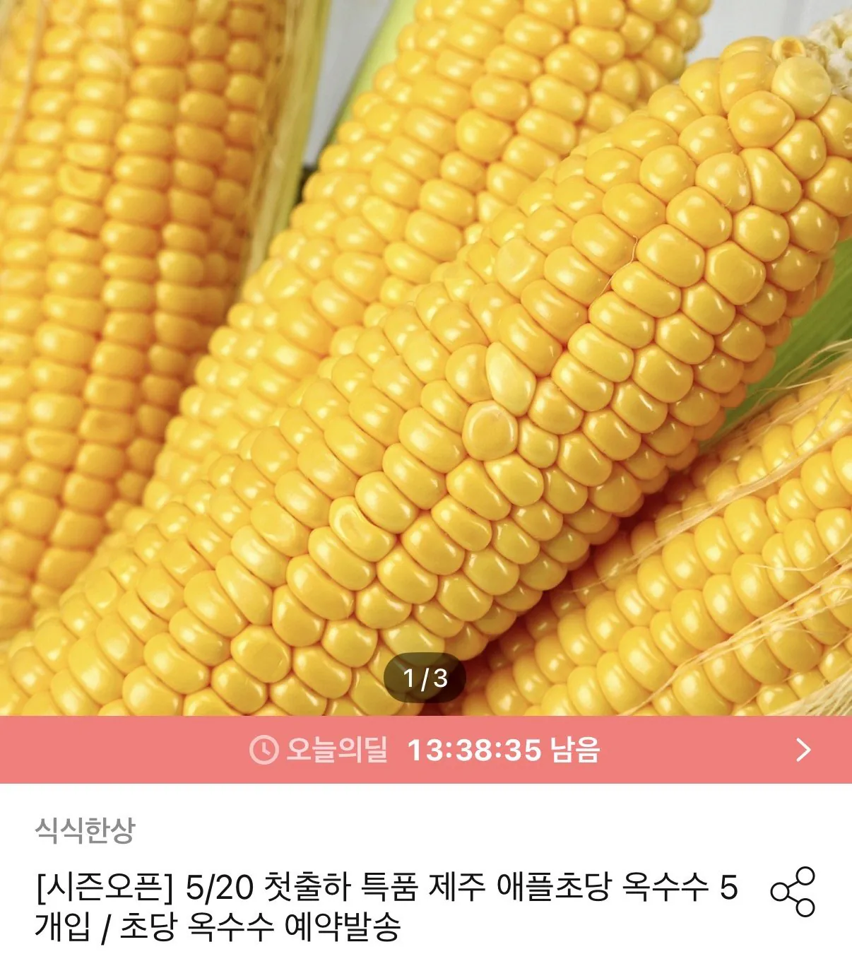 5/18 첫출하 제주 신품종 애플초당 옥수수 특품 5개입 외 초당 옥수수
