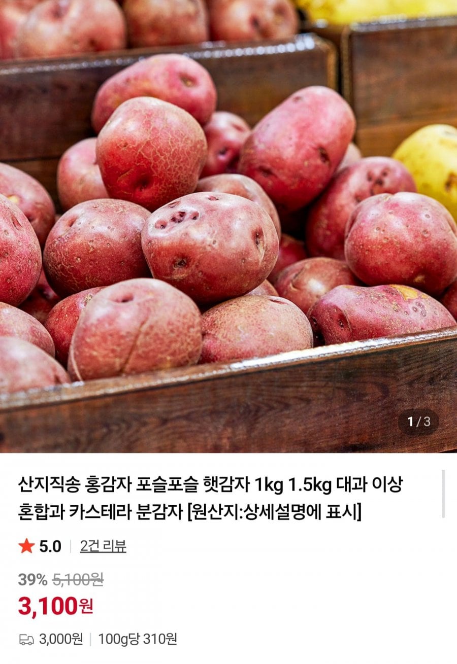 밀양 홍감자 햇감자 1kg 대과