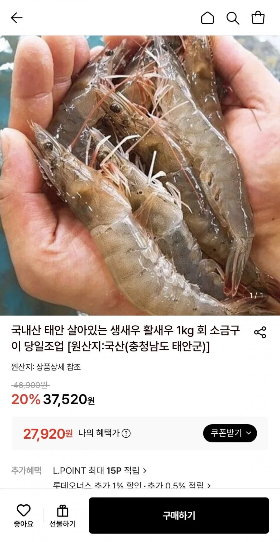 국내산 태안 생새우 1kg
