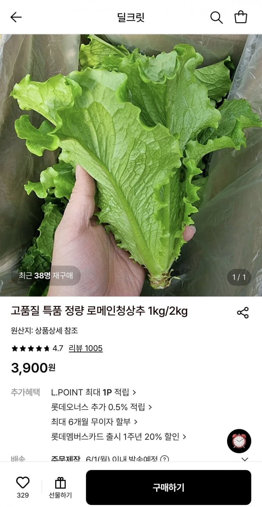 통 포기 로메인 청상추 1kg