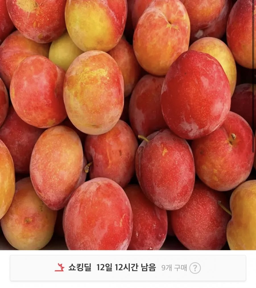상큼달콤 자두 1kg 실중량