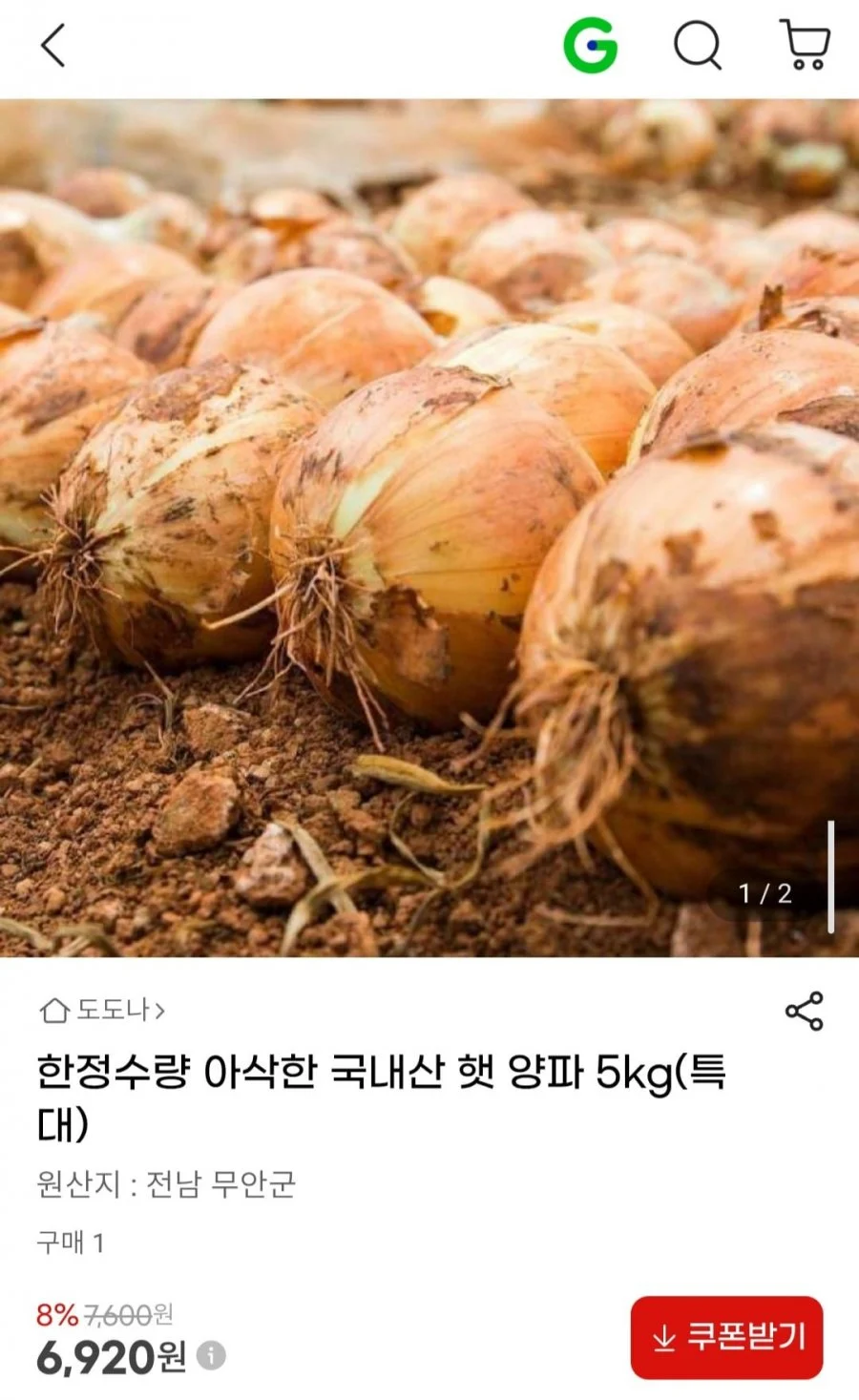 국내산 햇 양파 5kg(특대)