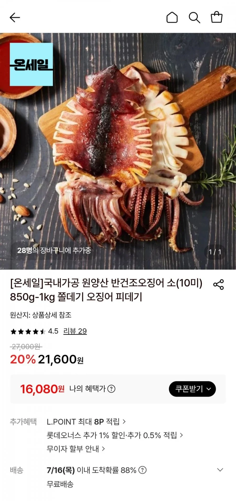 반건조오징어 소(10미) 850g-1kg