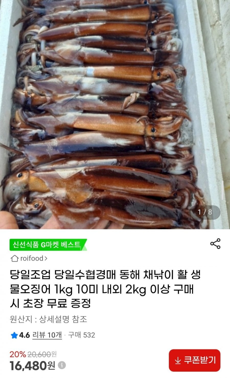 동해 채낚이 활 생물오징어 1kg 10미내외