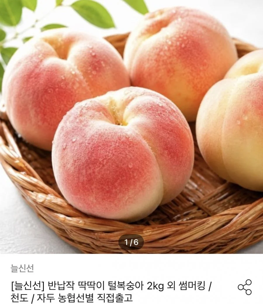 고당도 백도 복숭아 로얄과 2kg