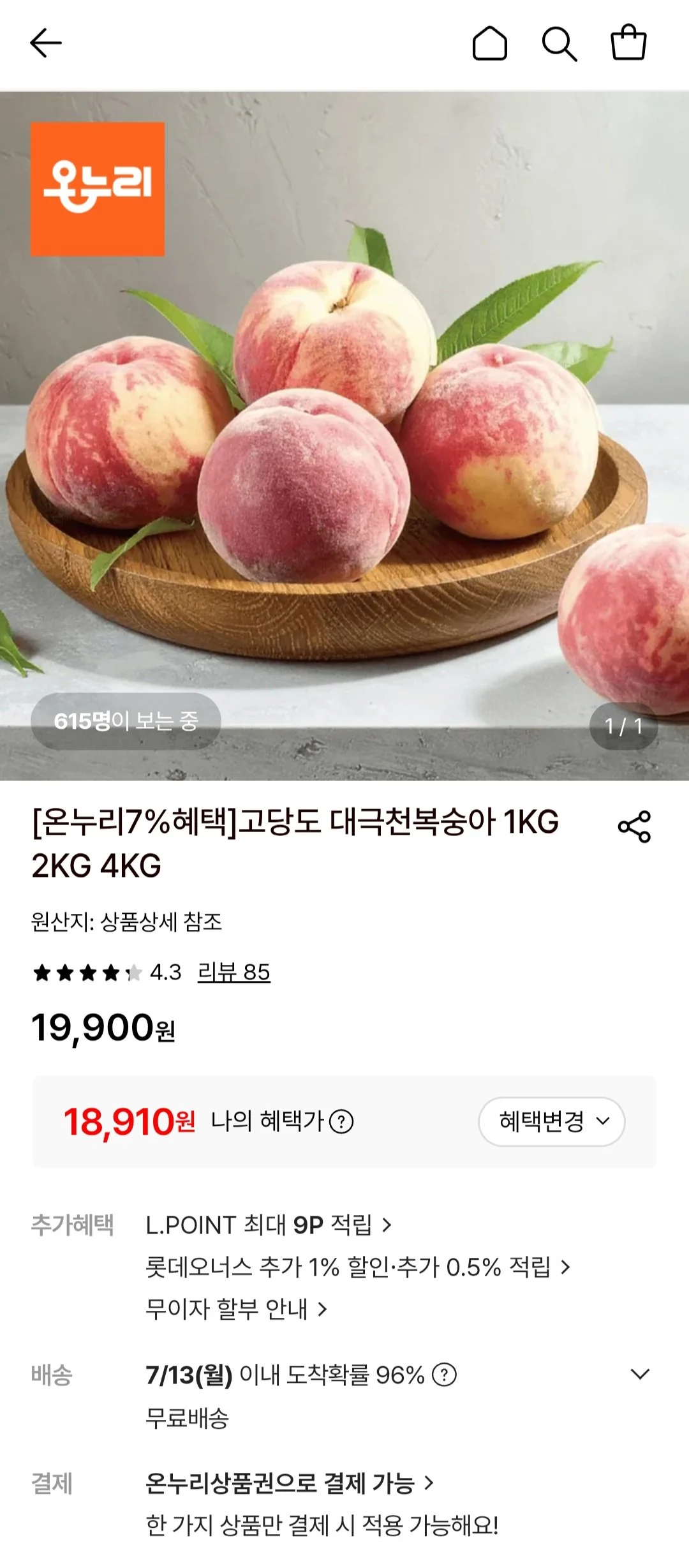 대극천 복숭아 로얄과 4kg