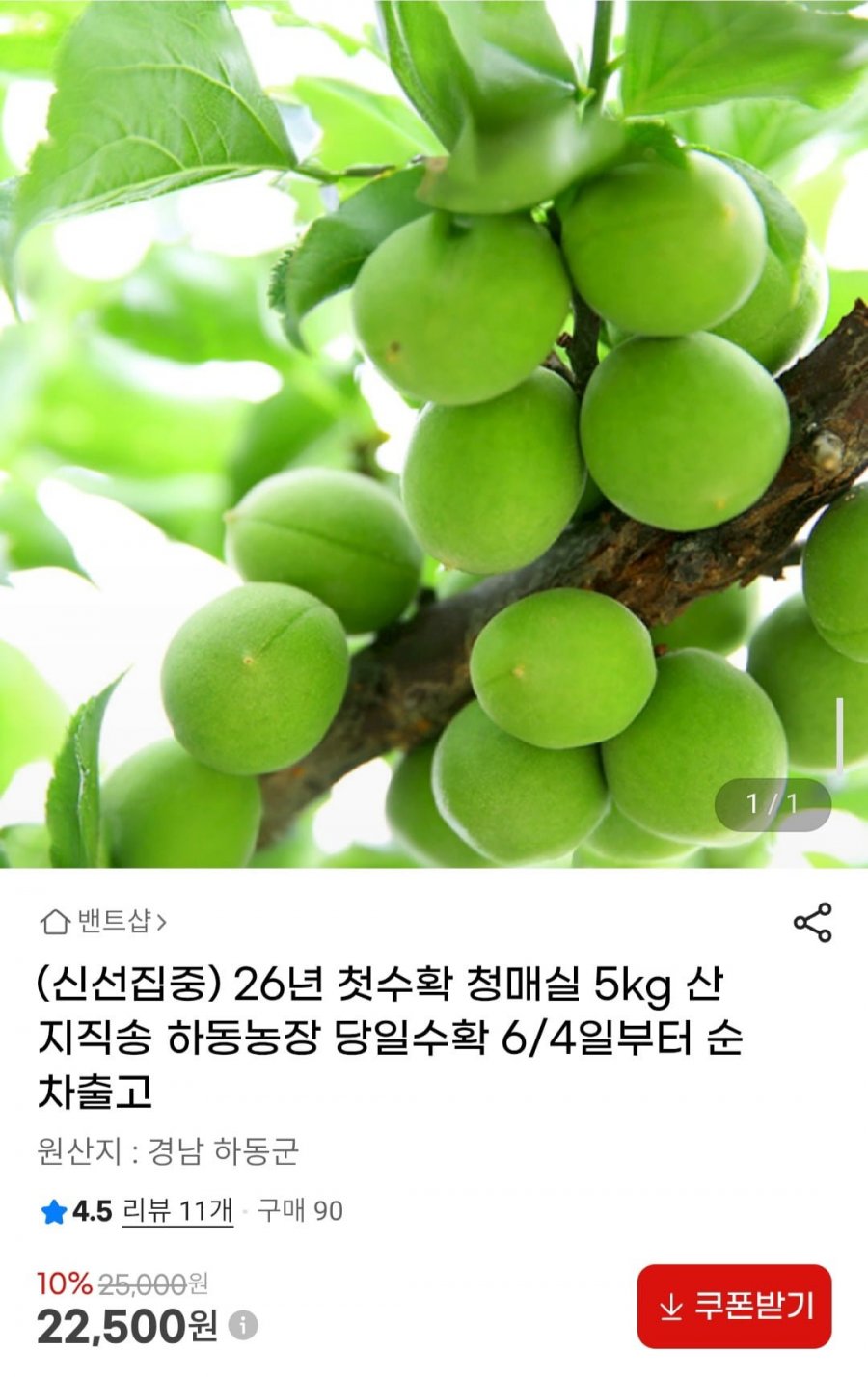 26년 첫수확 청매실 5kg 산지직송