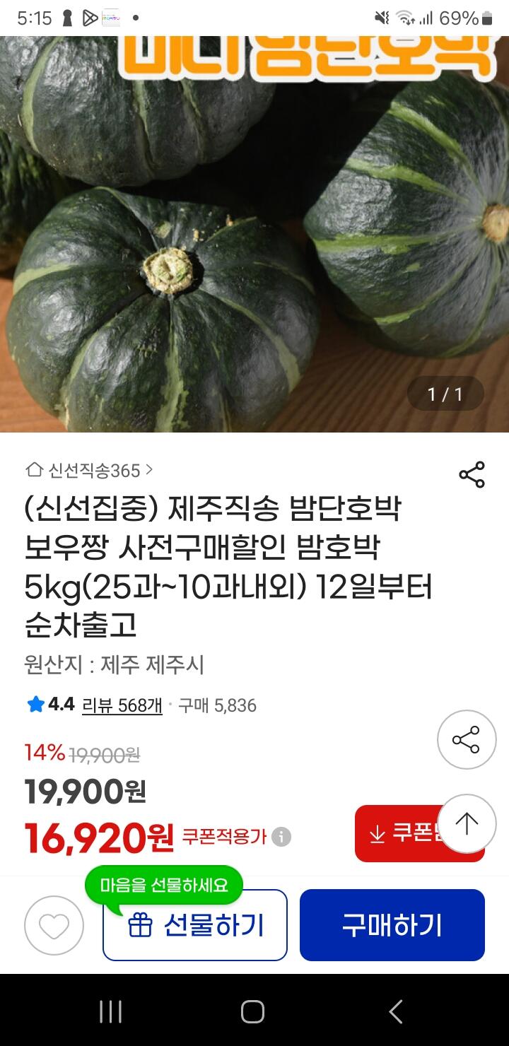 제주직송 밤단호박 보우짱 5kg