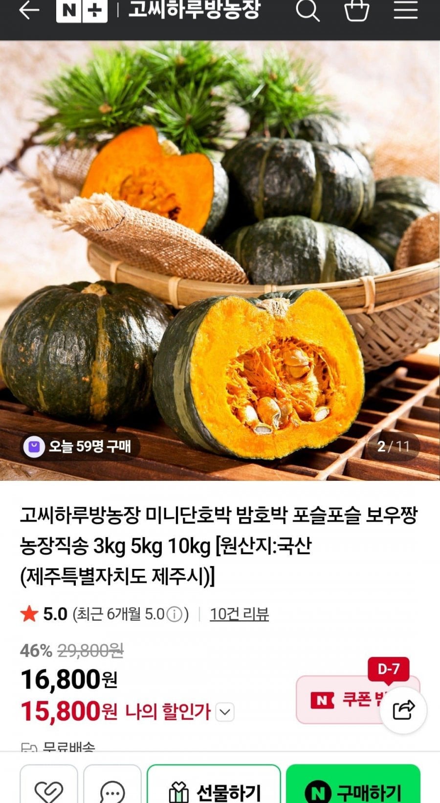 제주산 미니밤호박 2kg