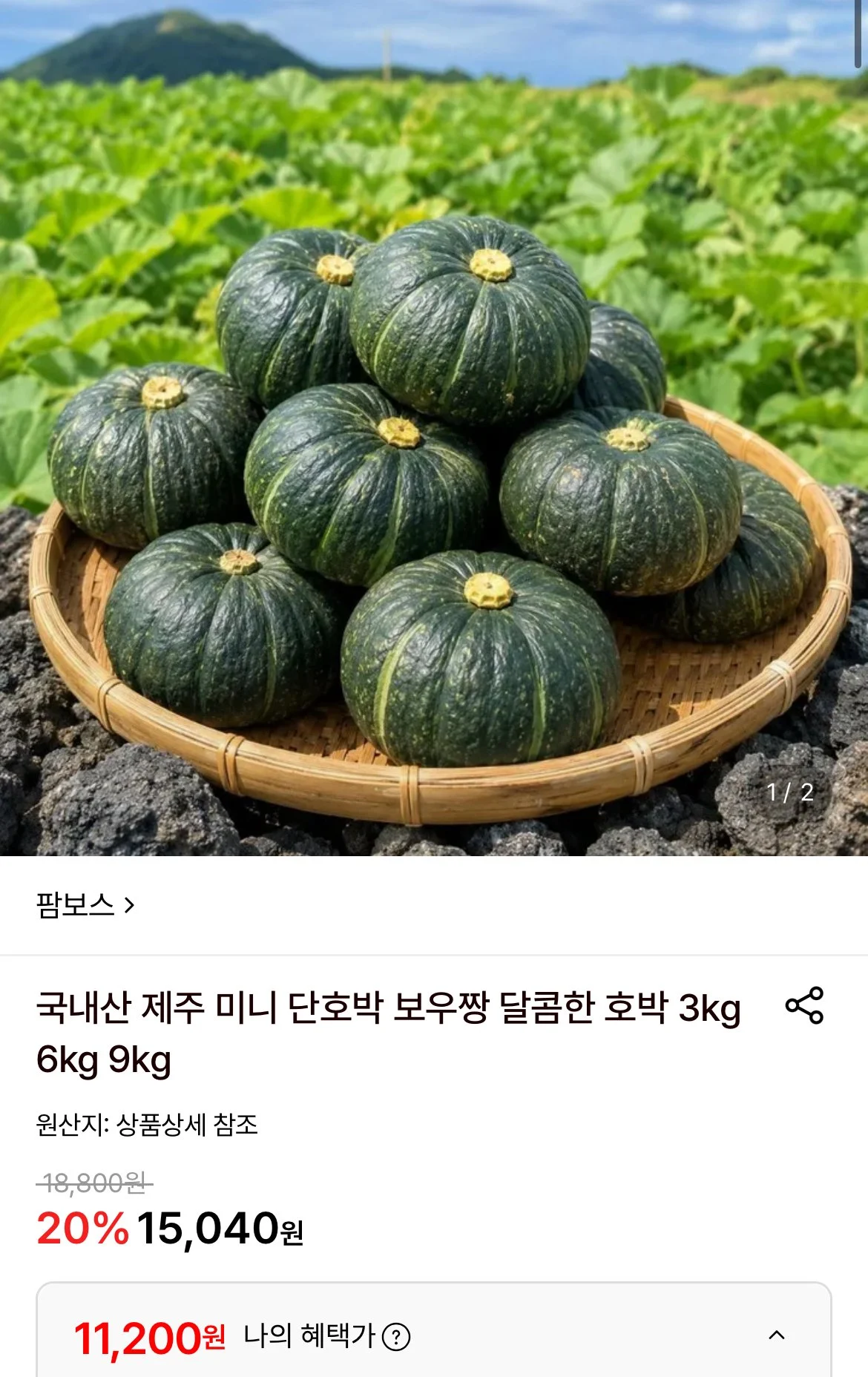 국내산 제주 미니 단호박 6kg 로얄과