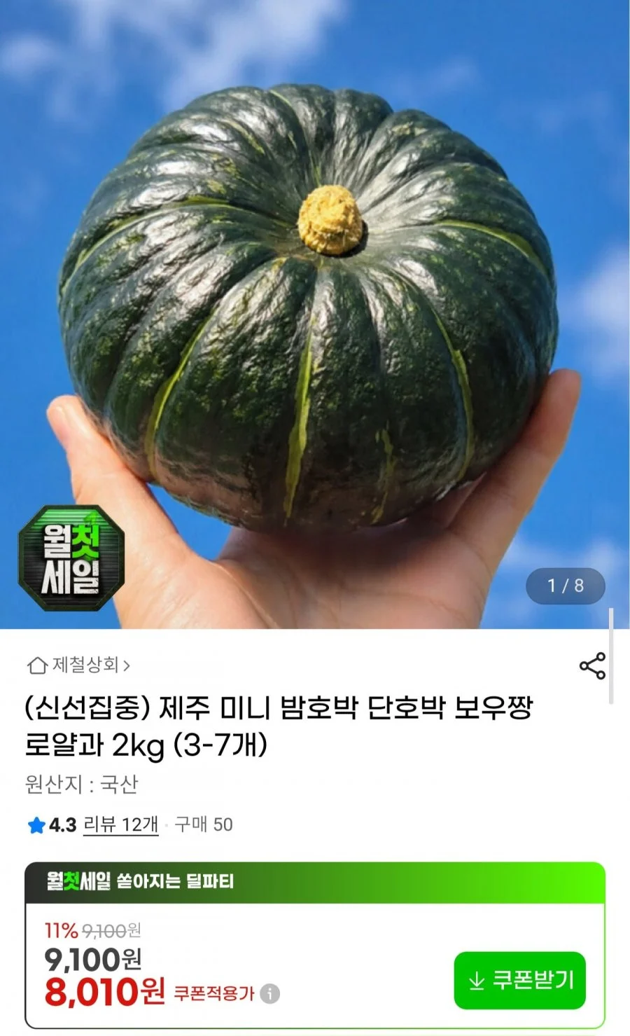제주 미니 밤호박 보우짱 로얄과 2kg