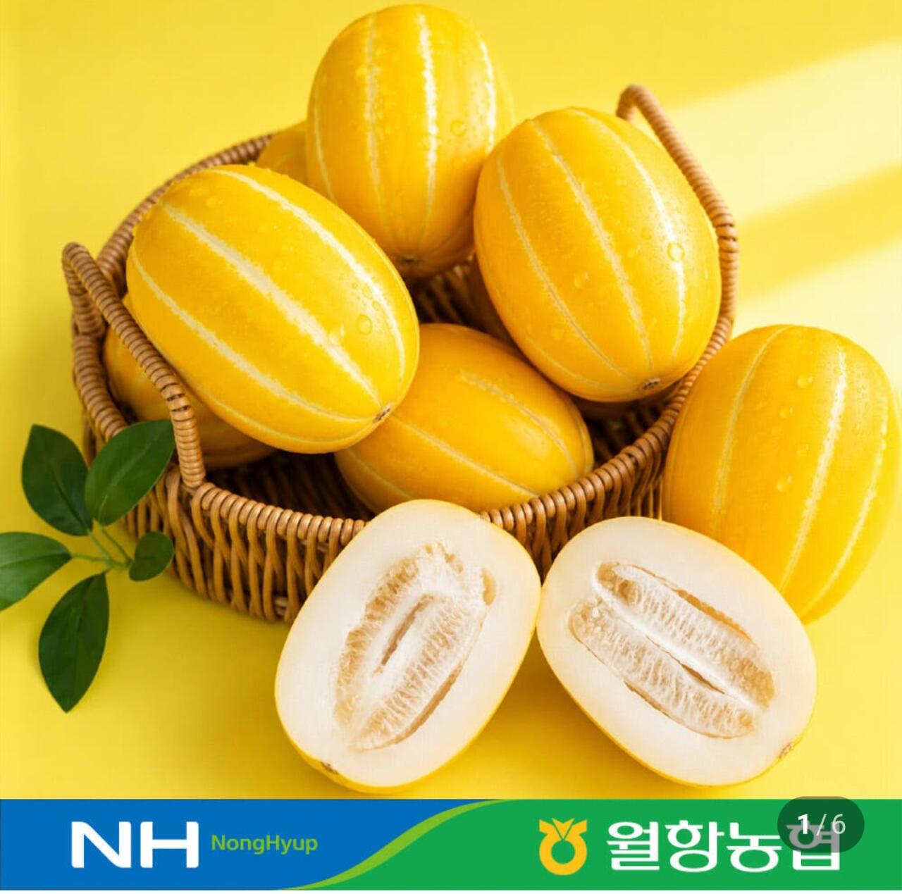 성주 꿀 참외 12brix이상 당도선별 로얄과