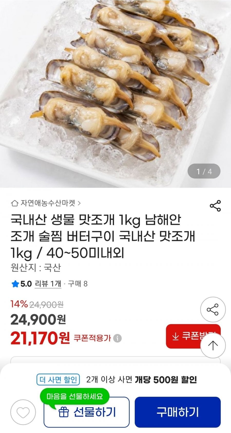국내산 맛조개 1kg 40~50미내외
