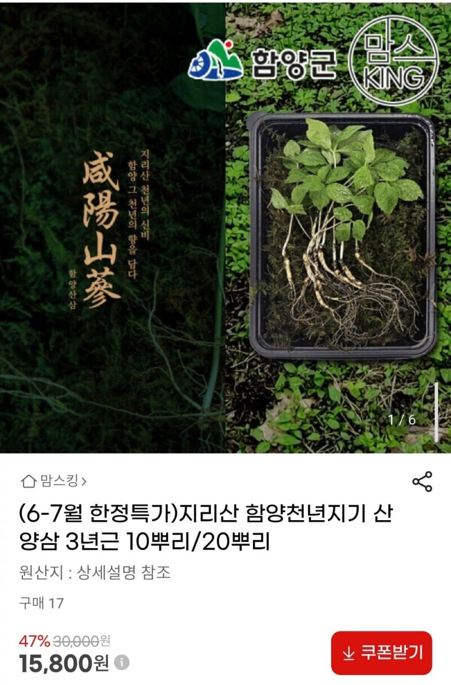 지리산 함양천년지기 산양삼 3년근 10뿌리