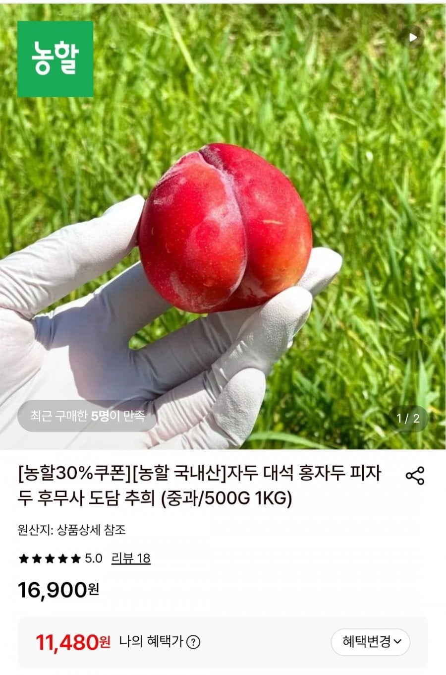 대석 자두 대과 1키로