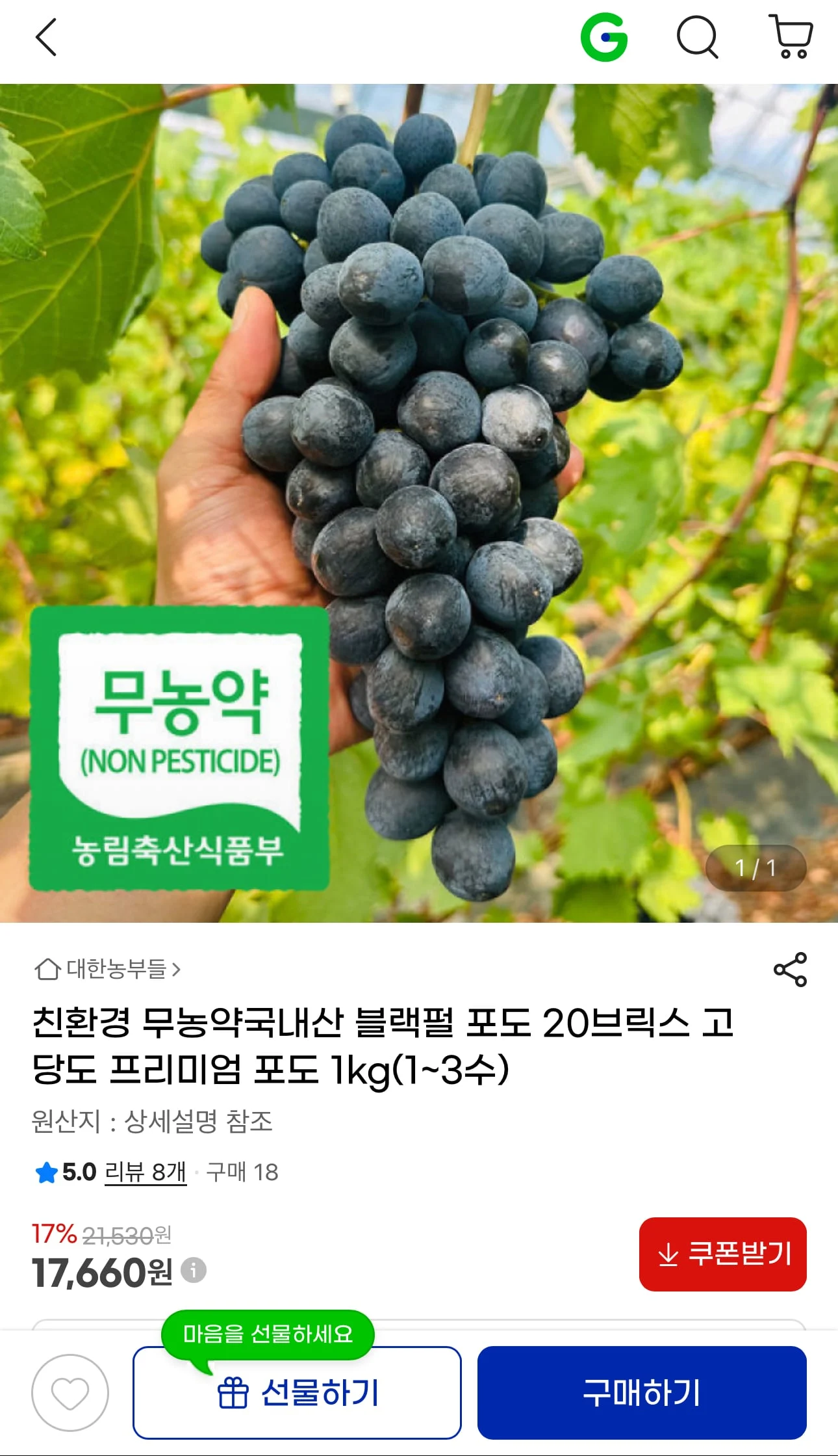 친환경 무농약 국내산 포도 1kg