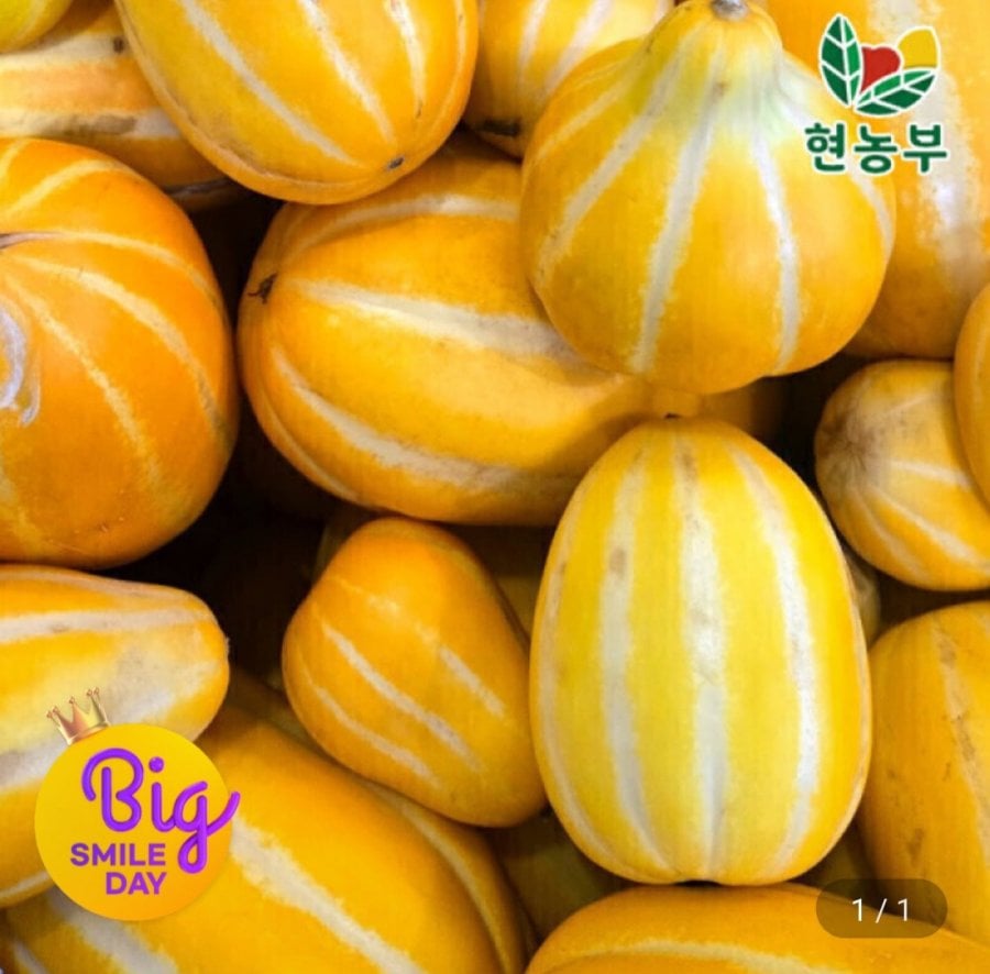 성주 꿀 참외 9kg 가정용
