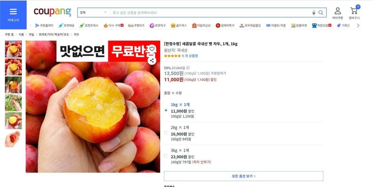 국내산 햇 자두 1kg