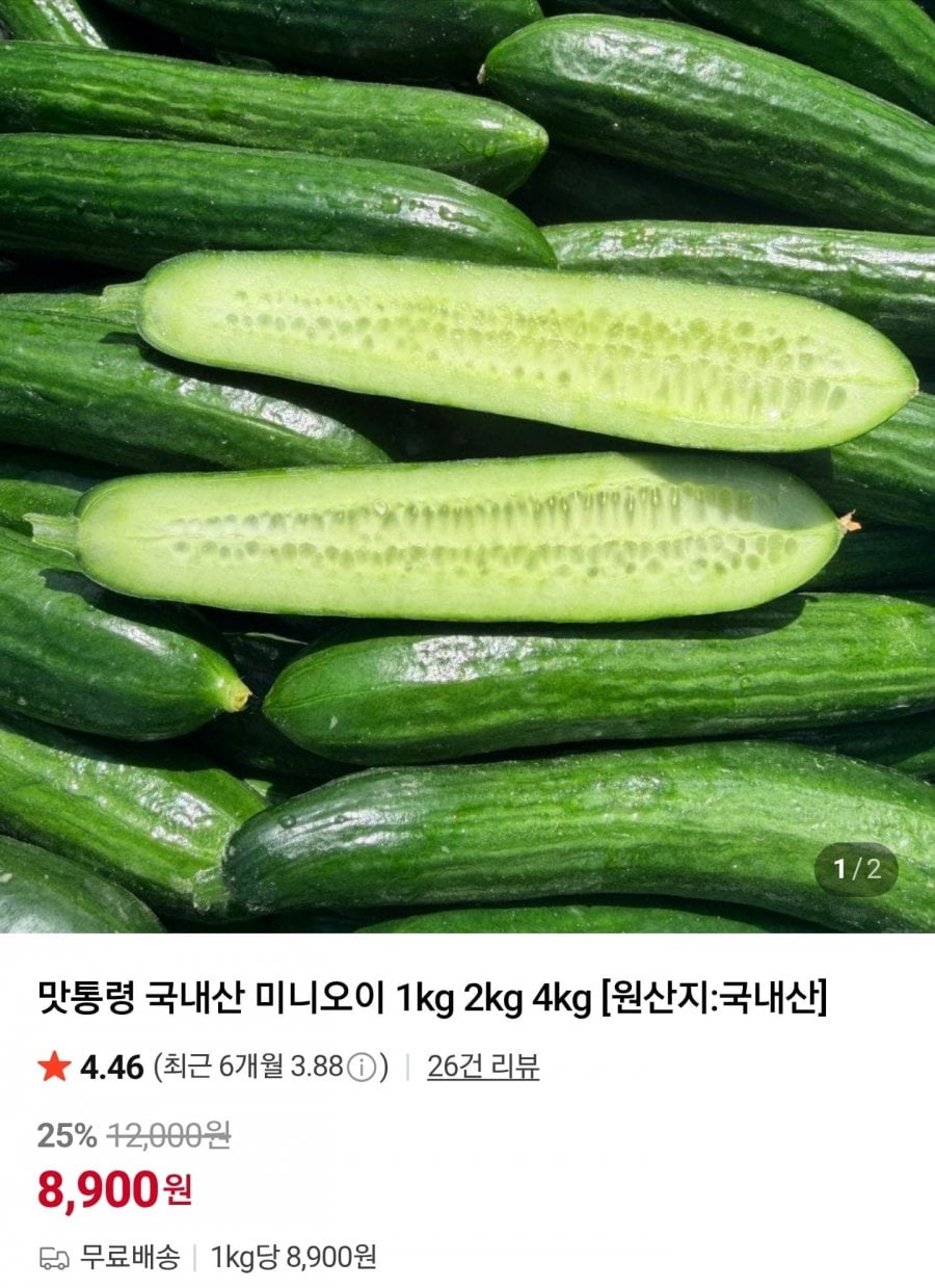 국내산 미니오이 1kg