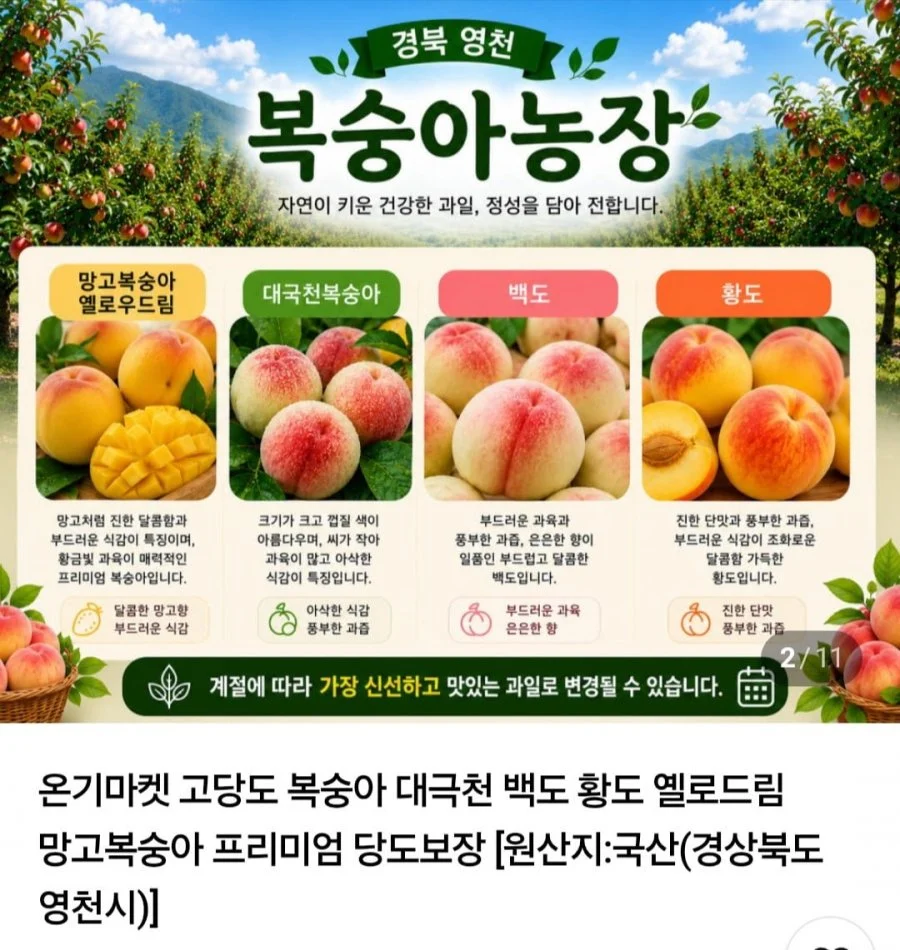고당도 대극천 복숭아 중소과 2kg