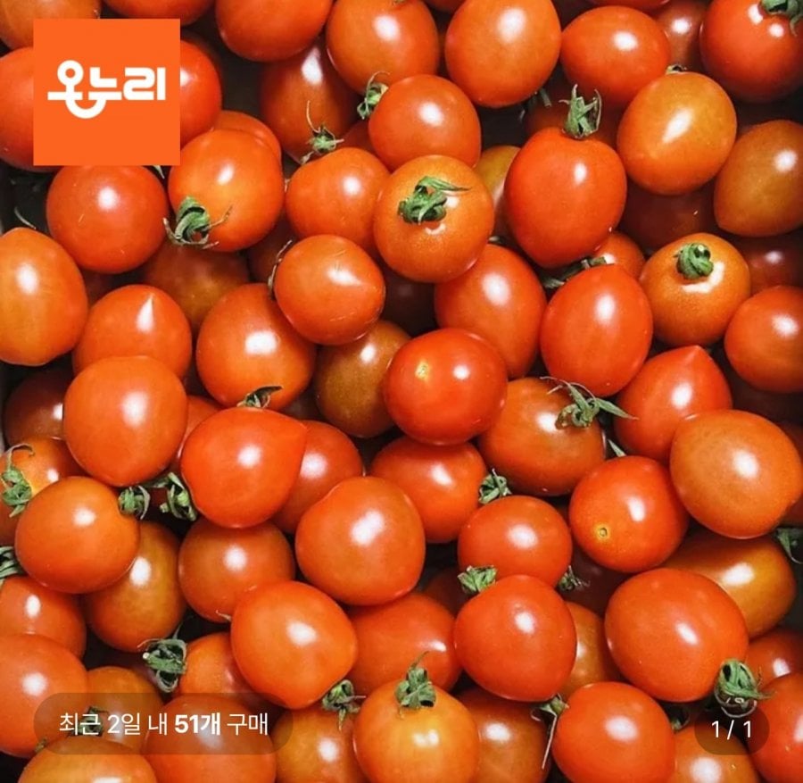 대추방울토마토 5kg 혼합과