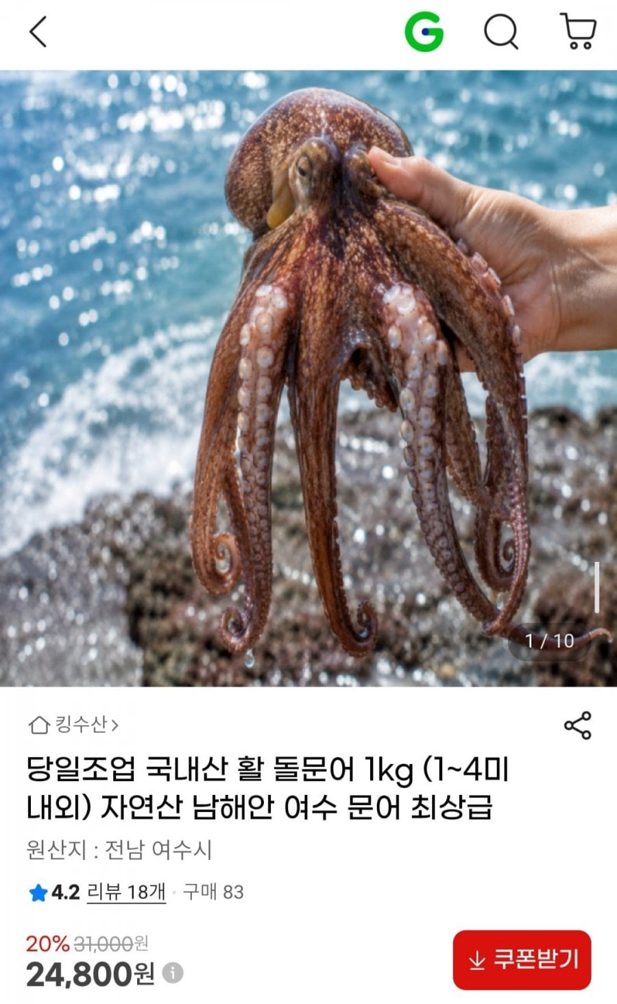 당일조업 국내산 활 돌문어 1kg (1~4미 내외)