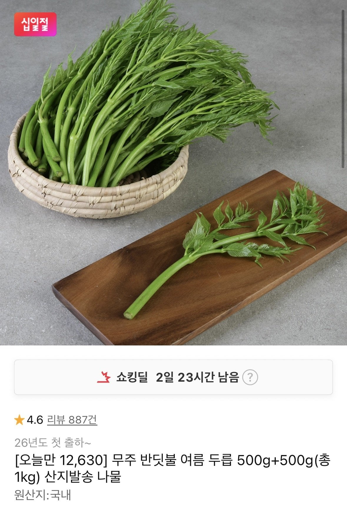 무주 반딧불 여름 두릅 500g+500g 총1kg