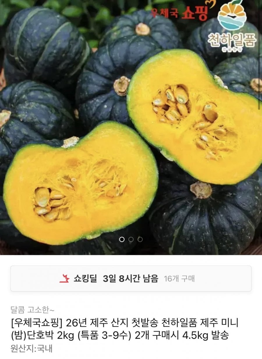 제주 산지 첫발송 미니 단호박 2kg
