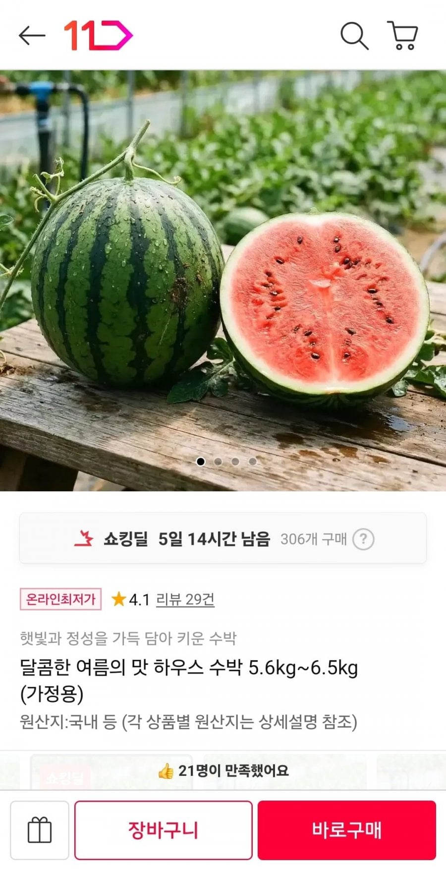 하우스 수박 5.6~6.5kg 가정용