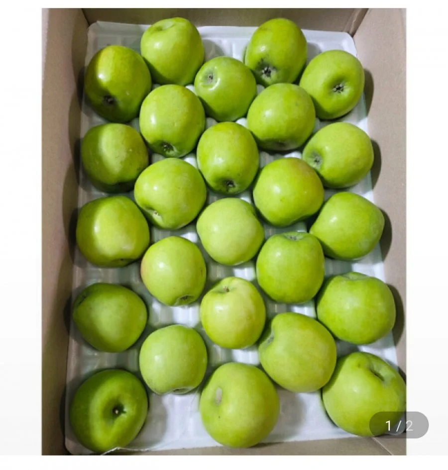 초록사과 중소과 썸머킹4kg 22-32과