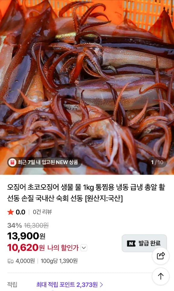 국산 생물 오징어(4-5미) 1kg