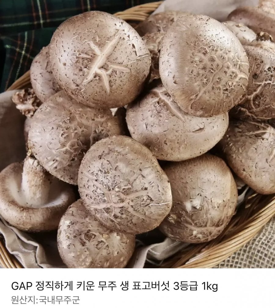 무주 생표고버섯 1kg/2kg