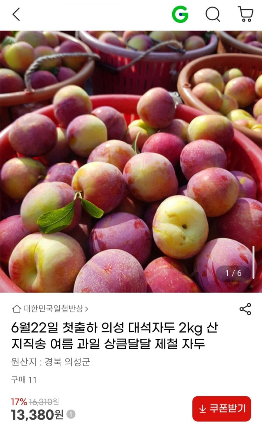 의성 대석자두 2kg