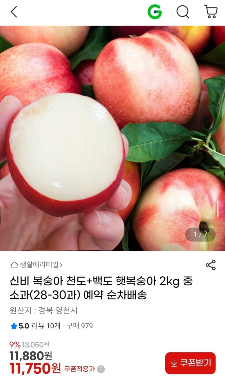 신비 복숭아 천도+백도 햇복숭아 2kg 중소과(28-30과)