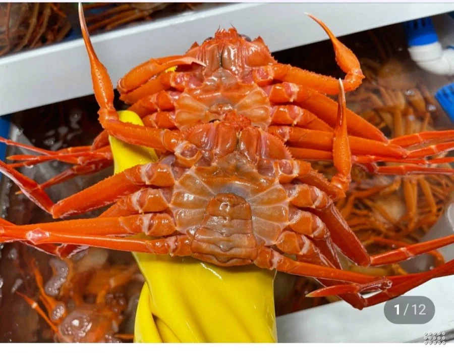 국산 울진 자숙 홍게4kg