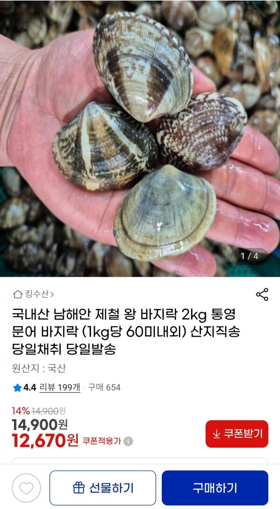 국내산 남해안 제철 왕 바지락 2kg (1kg당 60미내외)