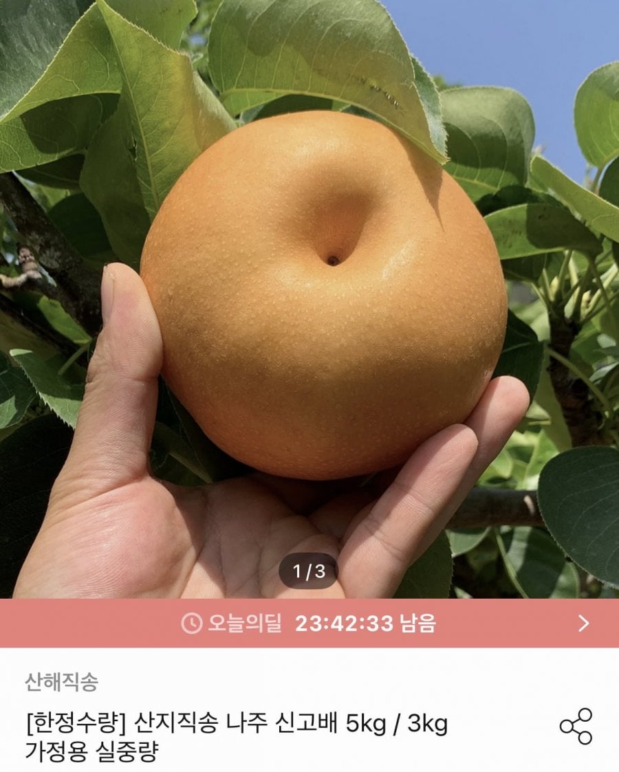 산지직송 나주 신고배 3kg