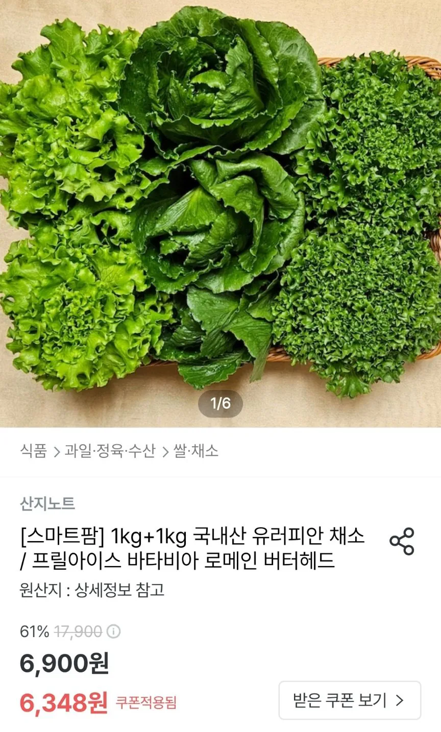 국내산 유러피안 채소 1kg+1kg