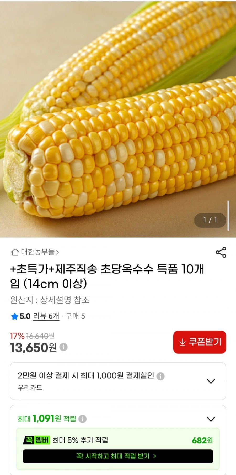 산지직송 초당옥수수 특품 10개입