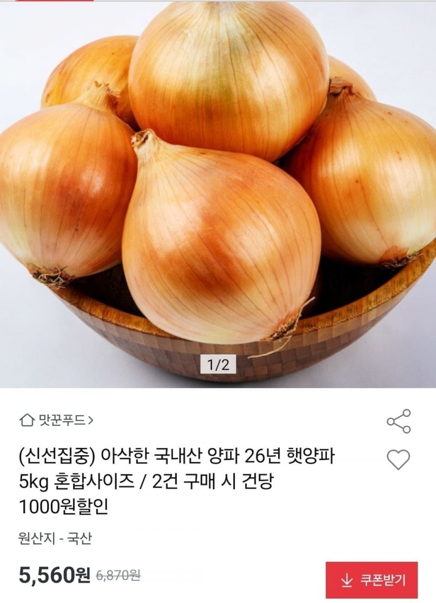 국내산 26년 햇양파 5kg 혼합 외 사이즈 다양