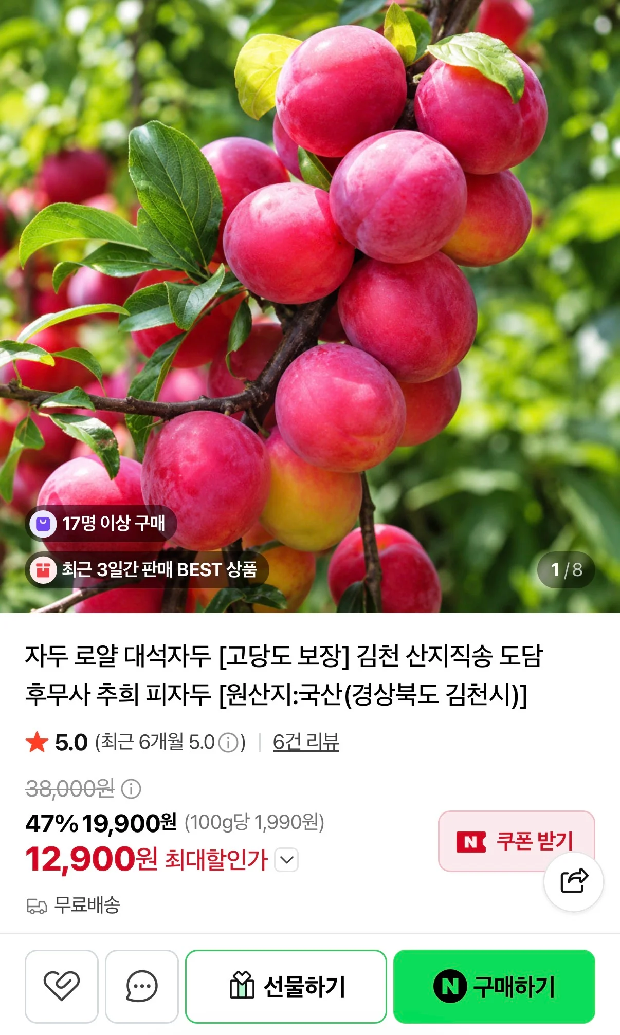 고당도 산지직송 경북 대석자두 중 2키로