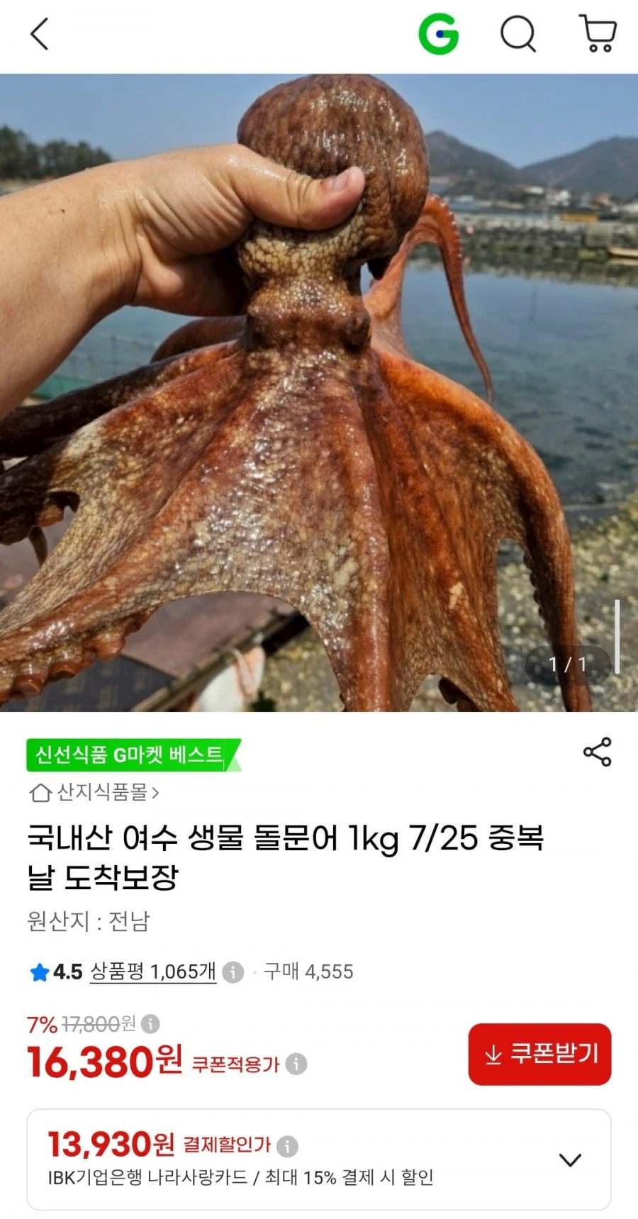 국내산 여수 생물 돌문어 1kg