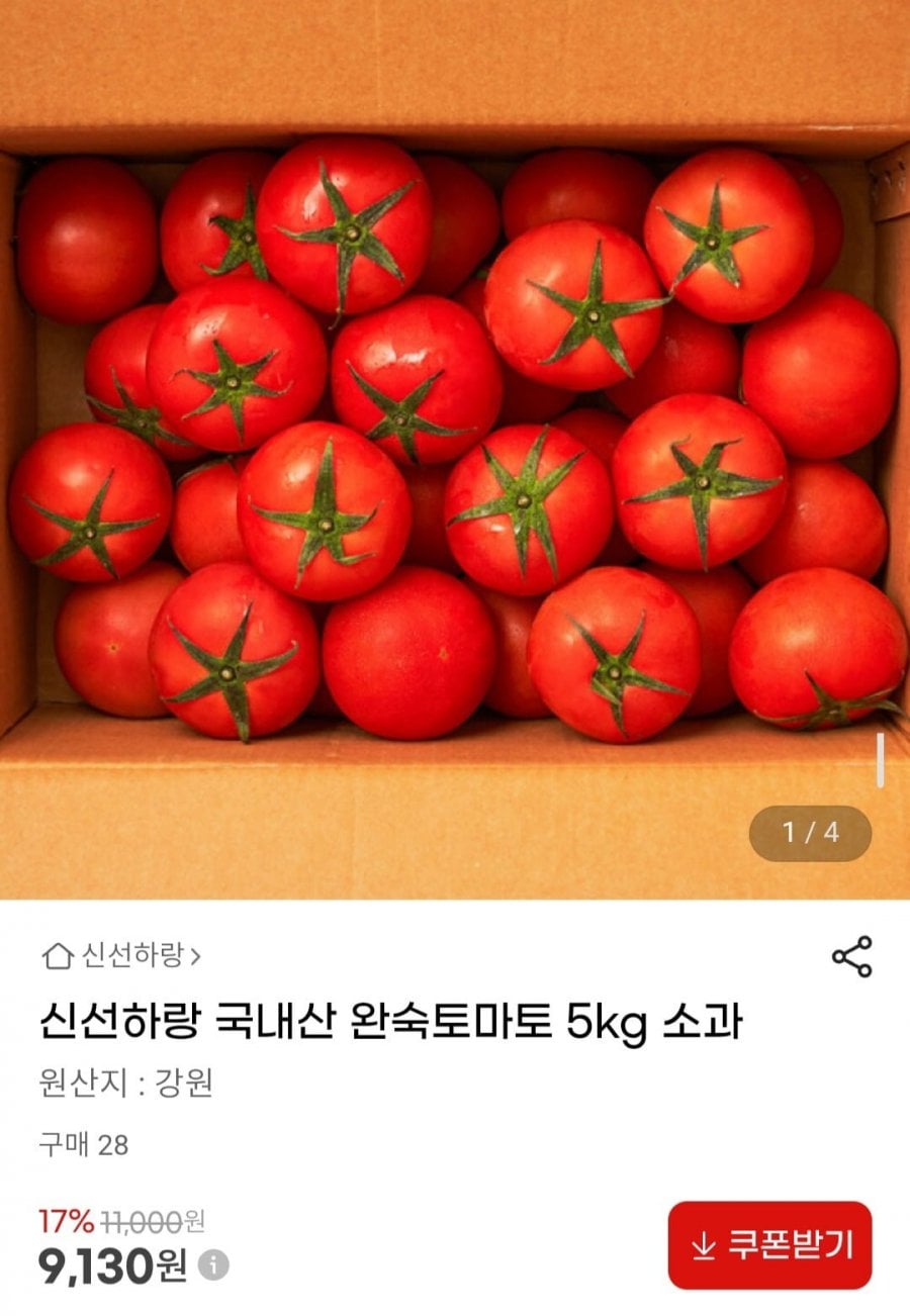 국내산 완숙토마토 5kg 소과