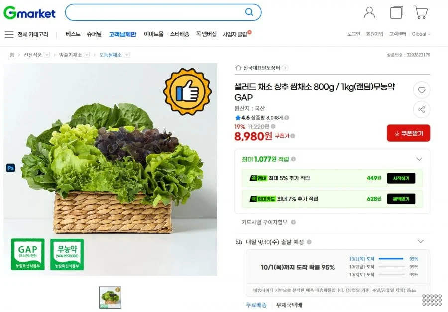 샐러드 채소 800g 무농약