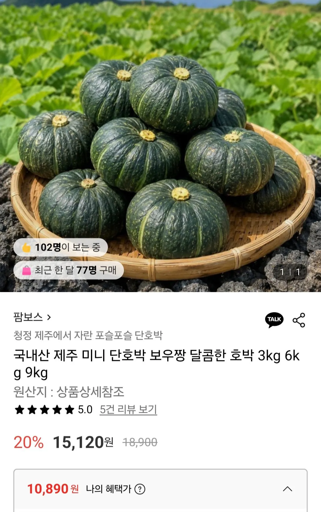 국내산 제주 미니 단호박 로얄과 6kg