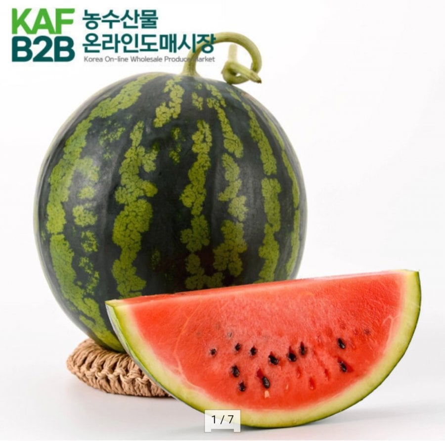하우스 꿀 수박 가정용 3-4kg 내외