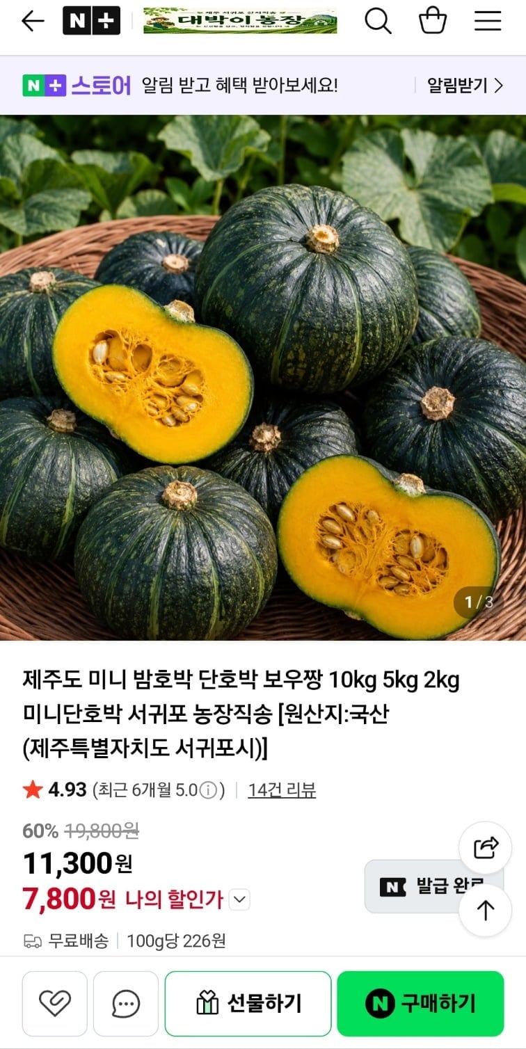 제주도 보우짱 미니 밤호박 로열과 2kg