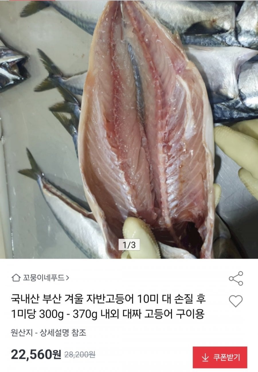 국내산 자반고등어 10미 대짜 구이용