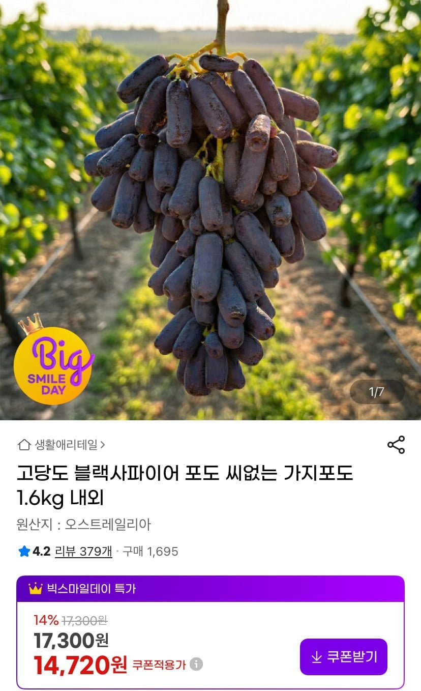 블랙사파이어 가지포도 1.6kg 내외