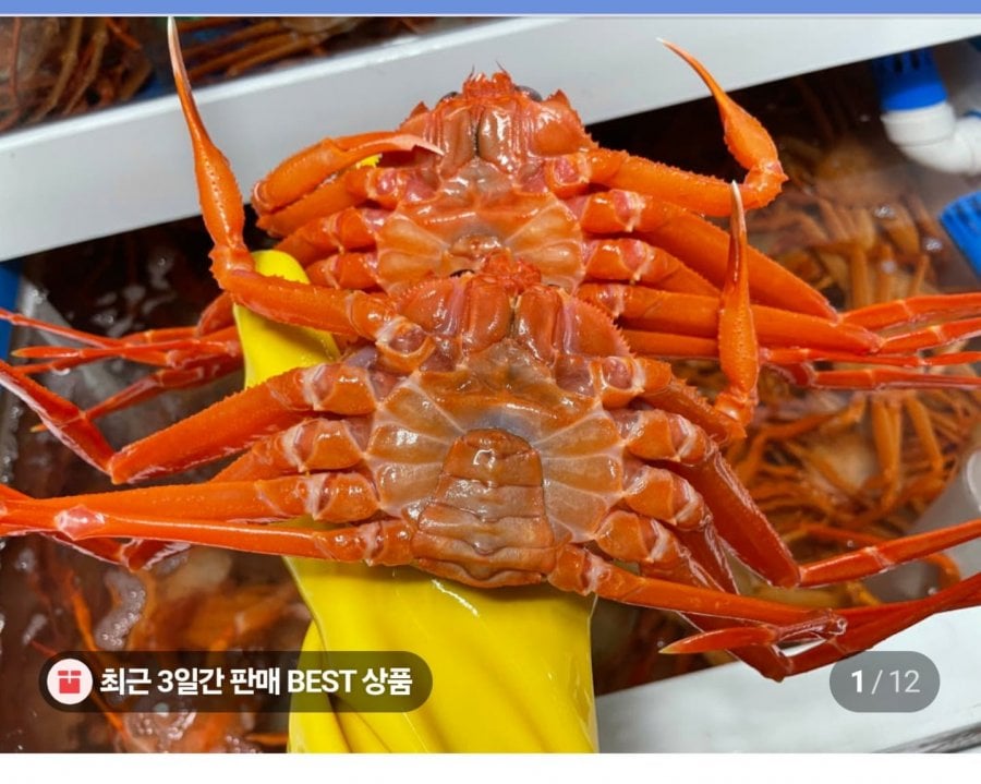 자숙홍게 4kg+4kg